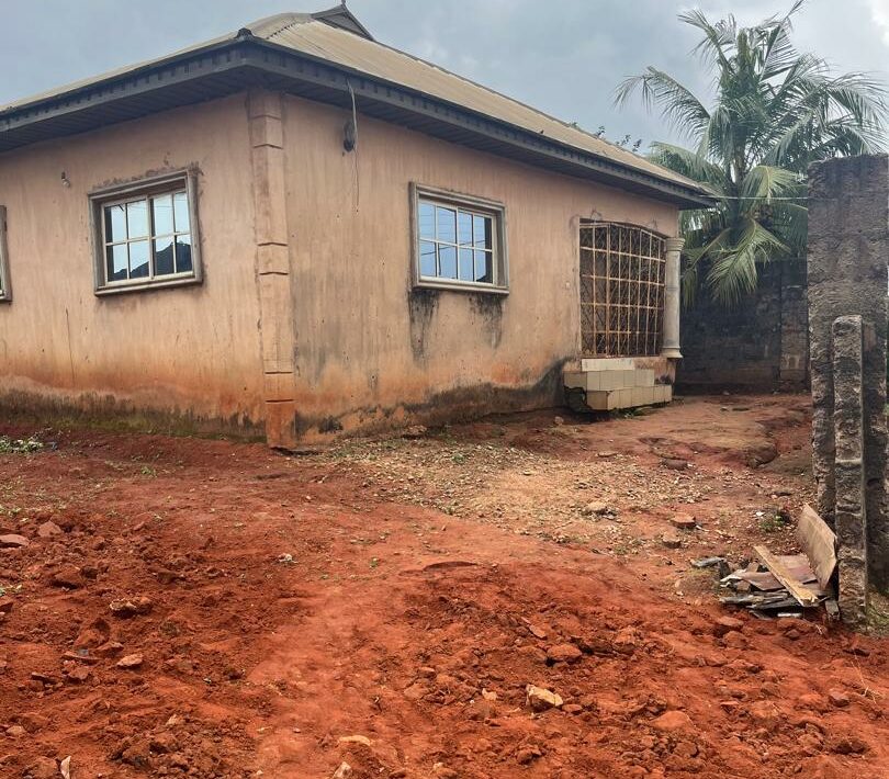 whatsapp image 2025 09 08 at 16.23.20 f2d7ec9b